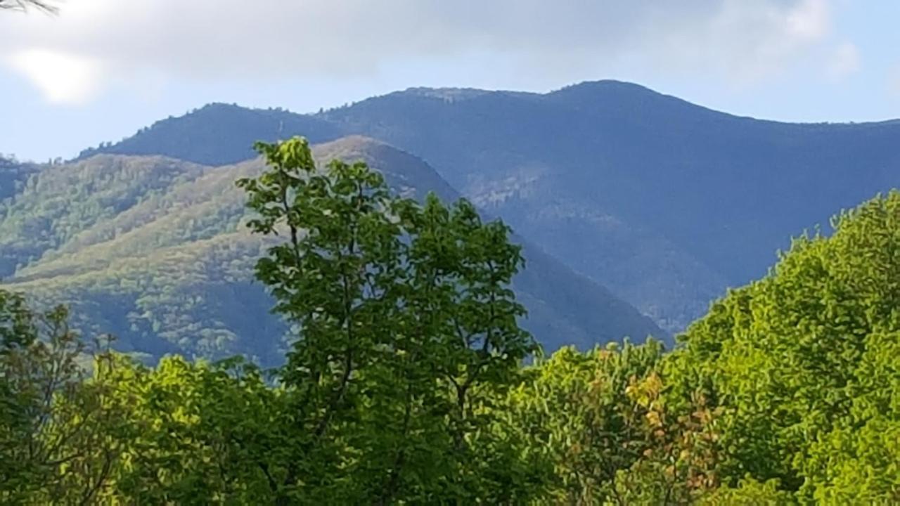 Mountain Serenity Гатлинбург Экстерьер фото